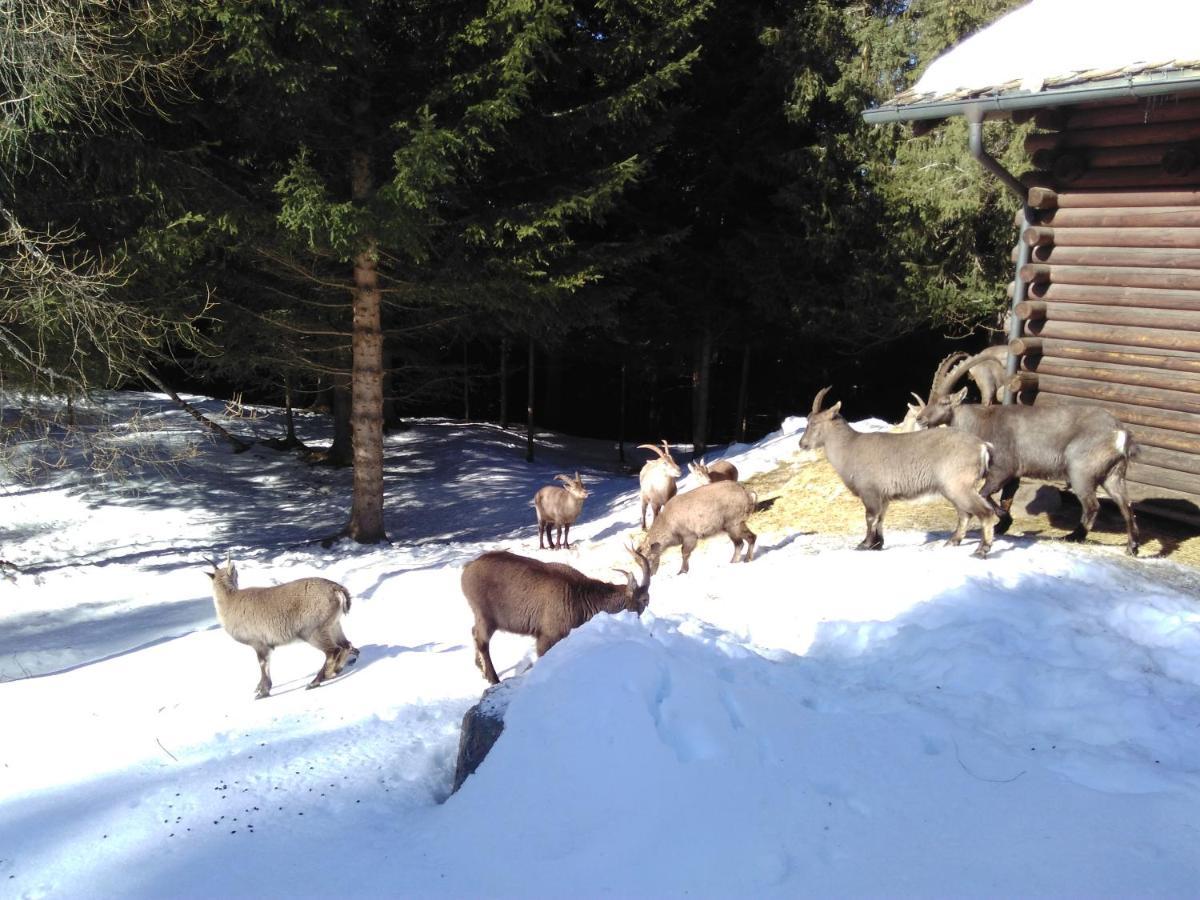 Hotel Bed & Rooms , Corte Rossa -1 Min Walk To Bernina Express 蒂拉诺 外观 照片