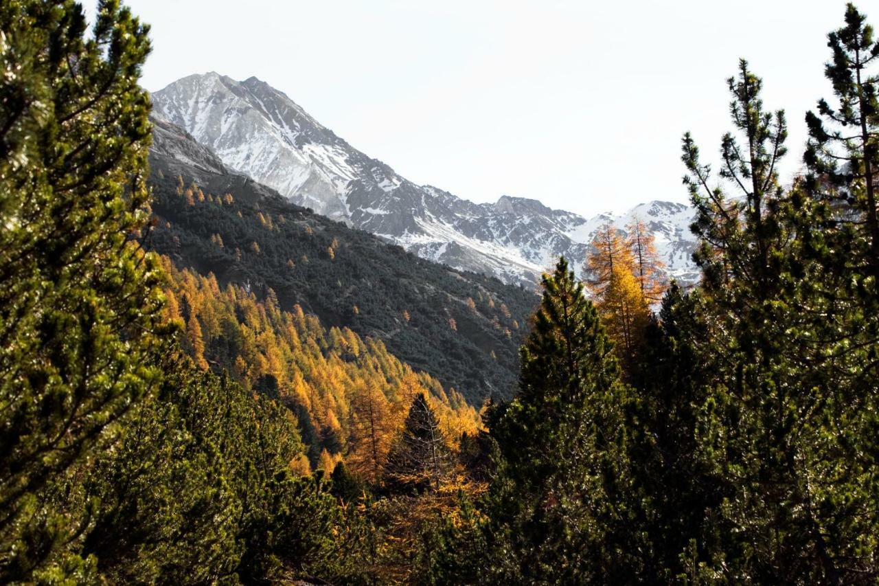 Hotel Bed & Rooms , Corte Rossa -1 Min Walk To Bernina Express 蒂拉诺 外观 照片